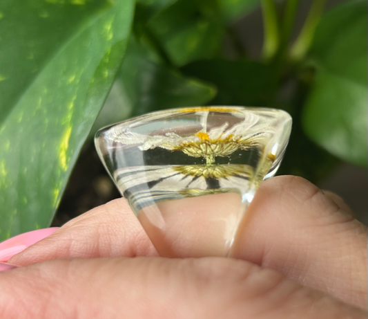 Cocktail Ring with Daisies