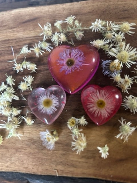 A Little Love with Prairie Fleabane Flowers - Large