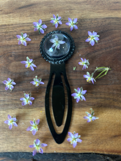 Antique Style Bookmark with Lesser Sea Spurrey Flowers