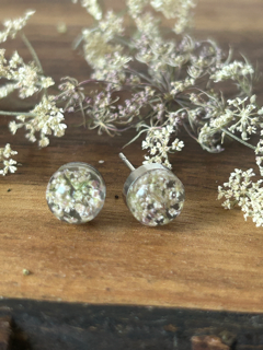 Earrings with Cow Parsley Flowers