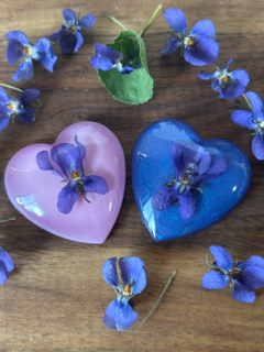 A Little Love with Sweet Violet Flowers - Large