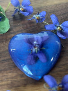 A Little Love with Sweet Violet Flowers - Large