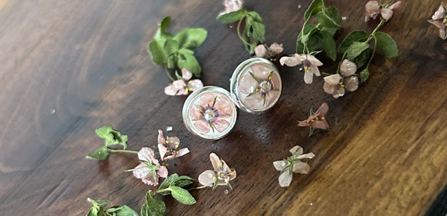Stud Earrings with Scarlet Pimpernel Flowers