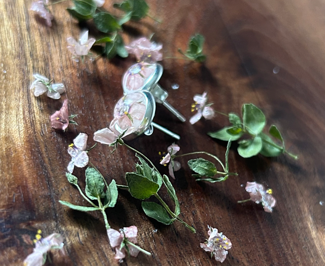 Stud Earrings with Scarlet Pimpernel Flowers