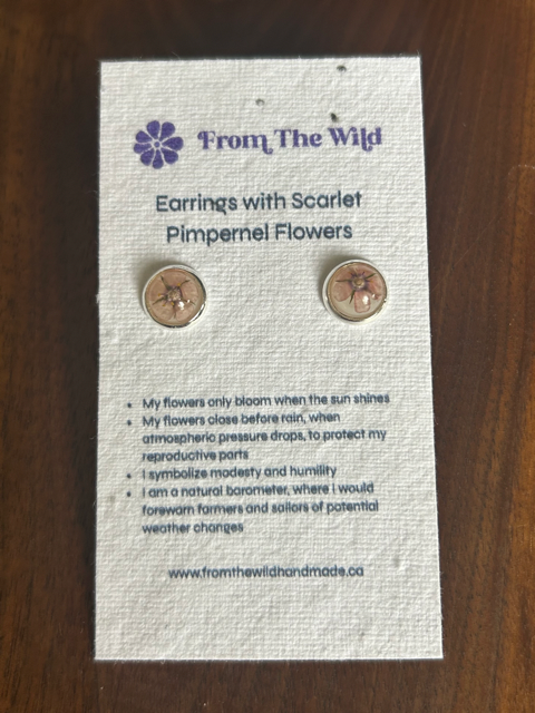 Stud Earrings with Scarlet Pimpernel Flowers