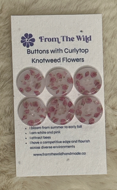 Buttons with Curlytop Knotweed Flowers