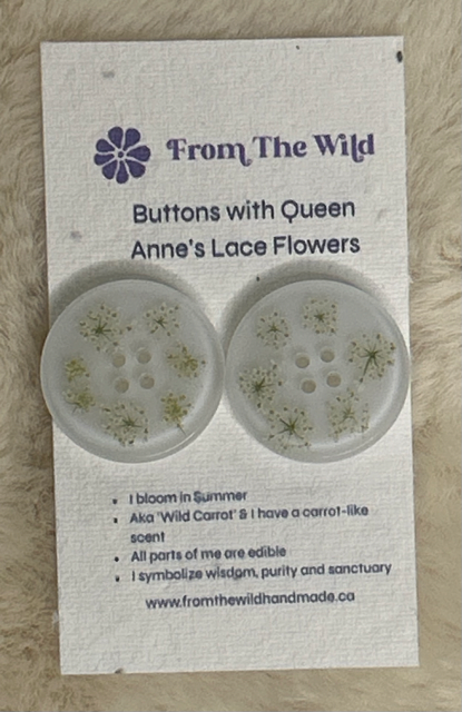 Buttons with Queen Anne's Lace