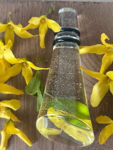 NEW Wine Stopper with Forsythia
