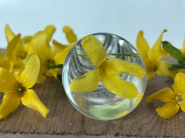 NEW Wine Stopper with Forsythia