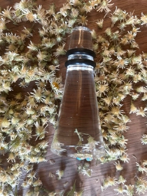 NEW Wine Stopper with Daisy Fleabane Flowers