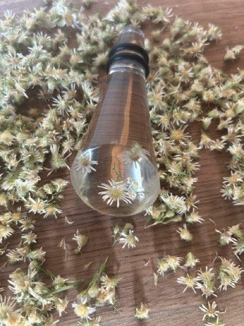NEW Wine Stopper with Daisy Fleabane Flowers