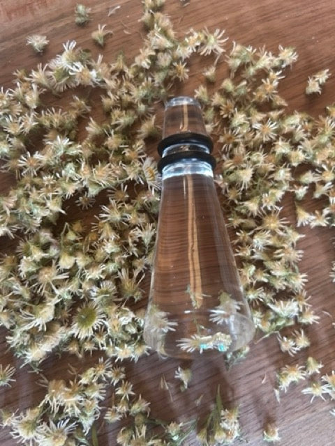 NEW Wine Stopper with Daisy Fleabane Flowers