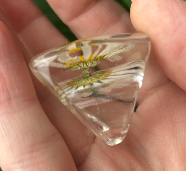Cocktail Ring with Daisies