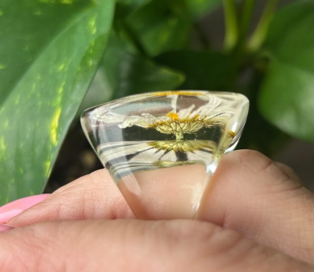 Cocktail Ring with Daisies