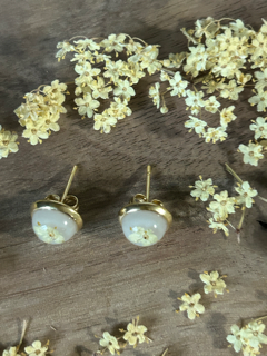Stud Earrings with Elderflower Blossoms