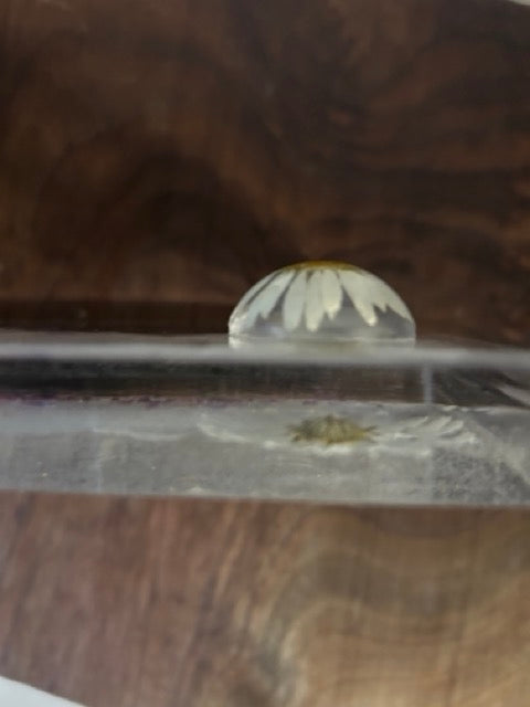 Large Charcuterie Board with Daisies and Purple Loosestrife Petals