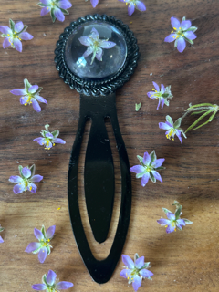 Antique Style Bookmark with Lesser Sea Spurrey Flowers
