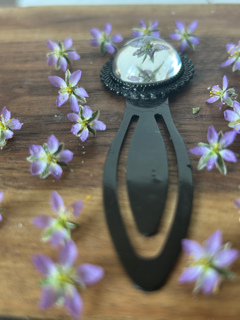 Antique Style Bookmark with Lesser Sea Spurrey Flowers