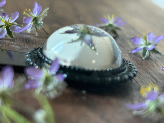Antique Style Bookmark with Lesser Sea Spurrey Flowers