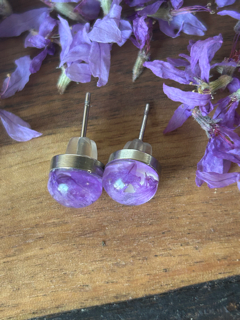 Earrings with Purple Loosestrife Petals
