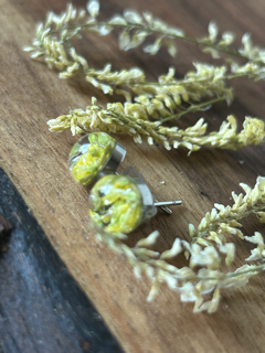 Earrings with Yellow Sweet Clover Flowers