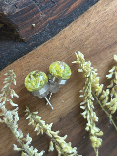 Earrings with Yellow Sweet Clover Flowers