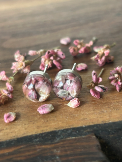 Stainless Steel Earrings with Curlytop Knotweed Flowers