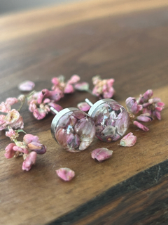 Stainless Steel Earrings with Curlytop Knotweed Flowers