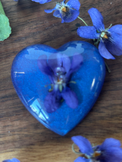 A Little Love with Sweet Violet Flowers - Large