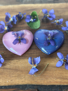 A Little Love with Sweet Violet Flowers - Large