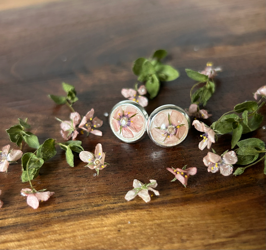 Stud Earrings with Scarlet Pimpernel Flowers