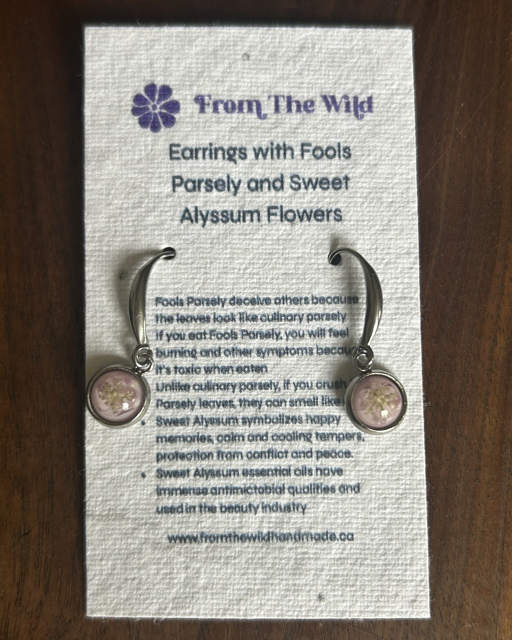 Drop Earrings with Fools Parsely and Sweet Alyssum Flowers