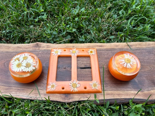 Double Light Switch Cover with Daisies