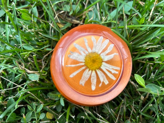 Small Storage Jar with Daisies