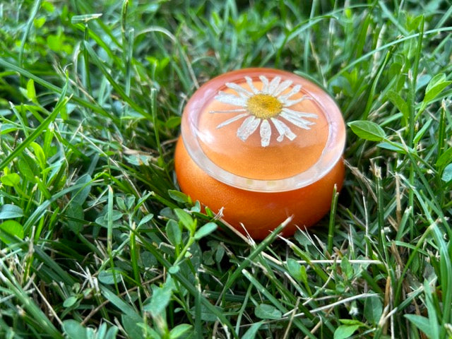 Small Storage Jar with Daisies