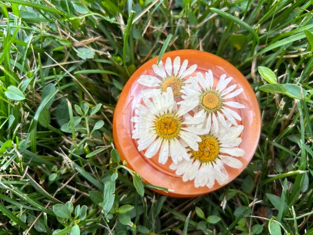 Small Storage Jar with Daisies