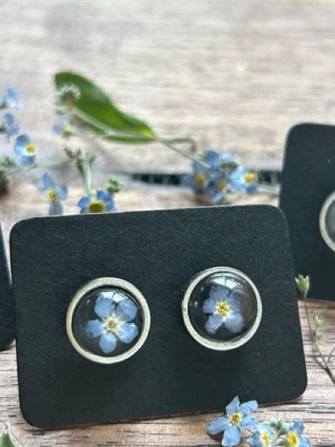 Earrings with Forget-Me-Not Flowers