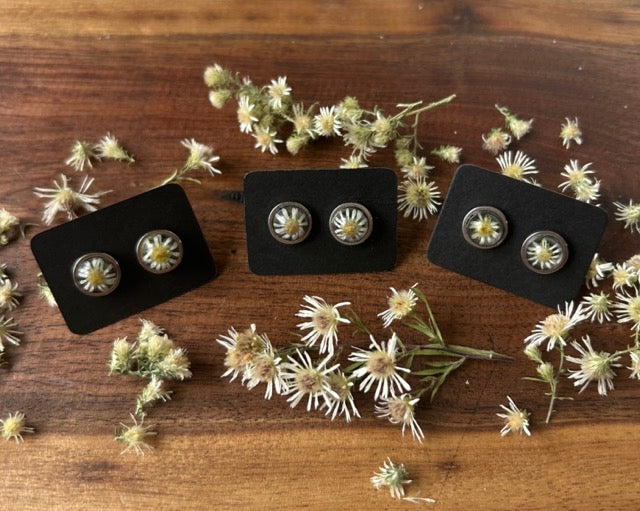 Earrings with White Heath Aster Flowers