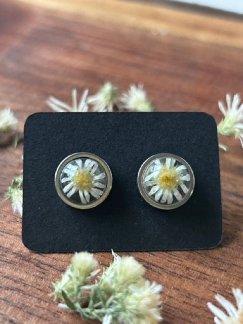 Earrings with White Heath Aster Flowers