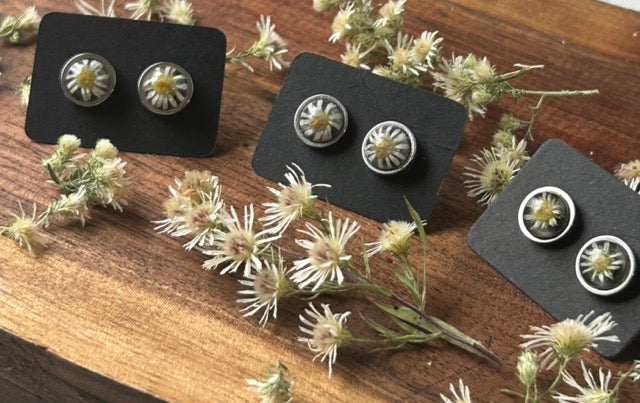 Earrings with White Heath Aster Flowers