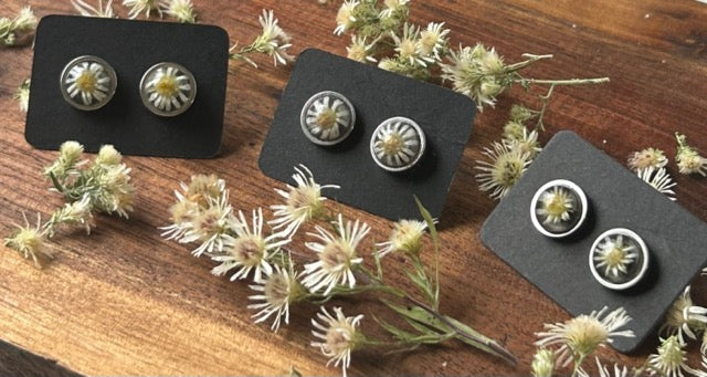 Earrings with White Heath Aster Flowers