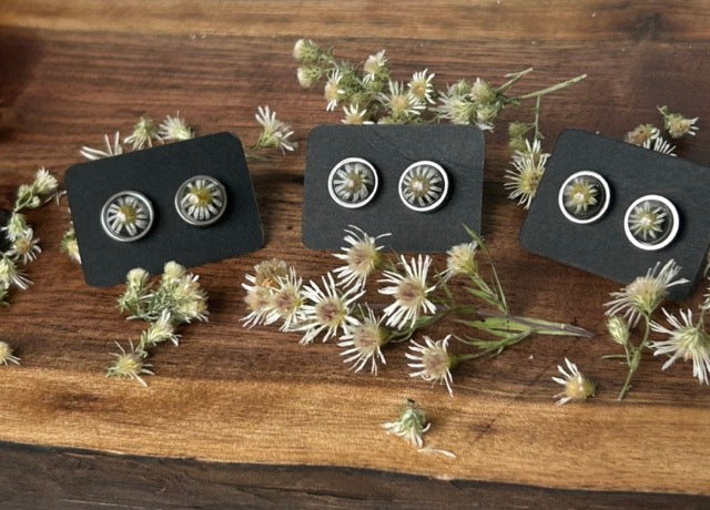 Earrings with White Heath Aster Flowers