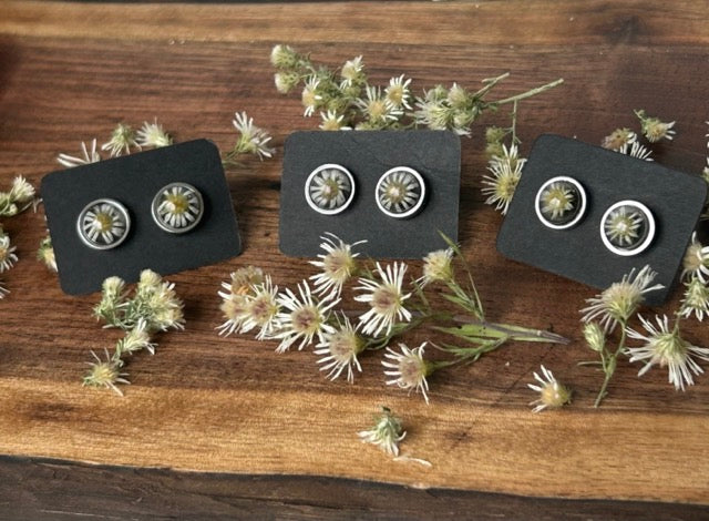 Earrings with White Heath Aster Flowers