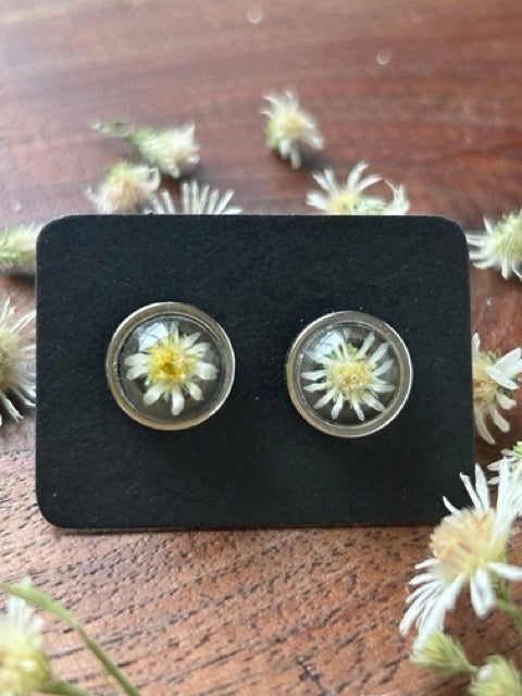 Earrings with White Heath Aster Flowers