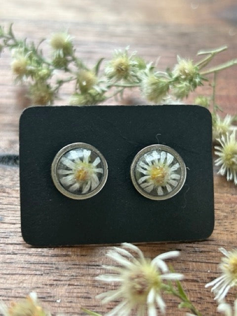 Earrings with White Heath Aster Flowers