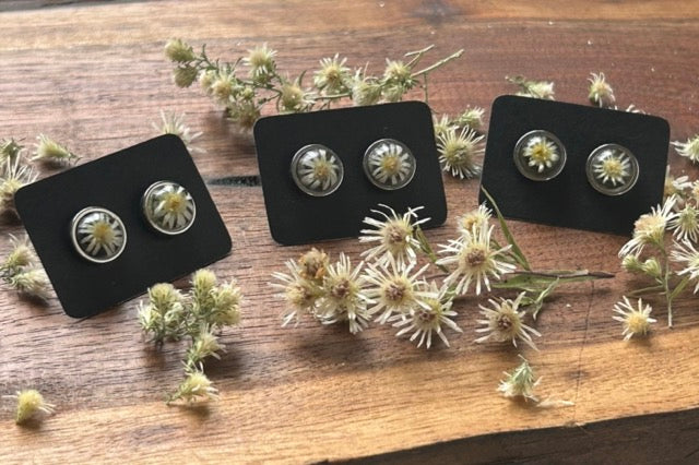 Earrings with White Heath Aster Flowers