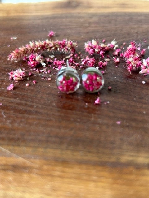 Earrings with Love-Lies-Bleeding Flowers and Wild Carrot Greens