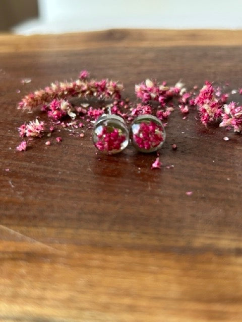 Earrings with Love-Lies-Bleeding Flowers and Wild Carrot Greens