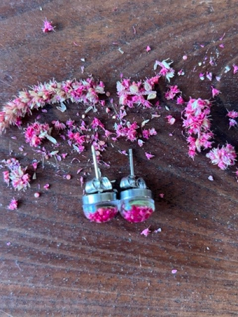 Earrings with Love-Lies-Bleeding Flowers and Wild Carrot Greens