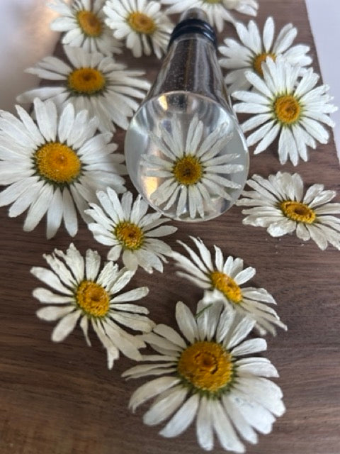 NEW Daisy Wine Stopper